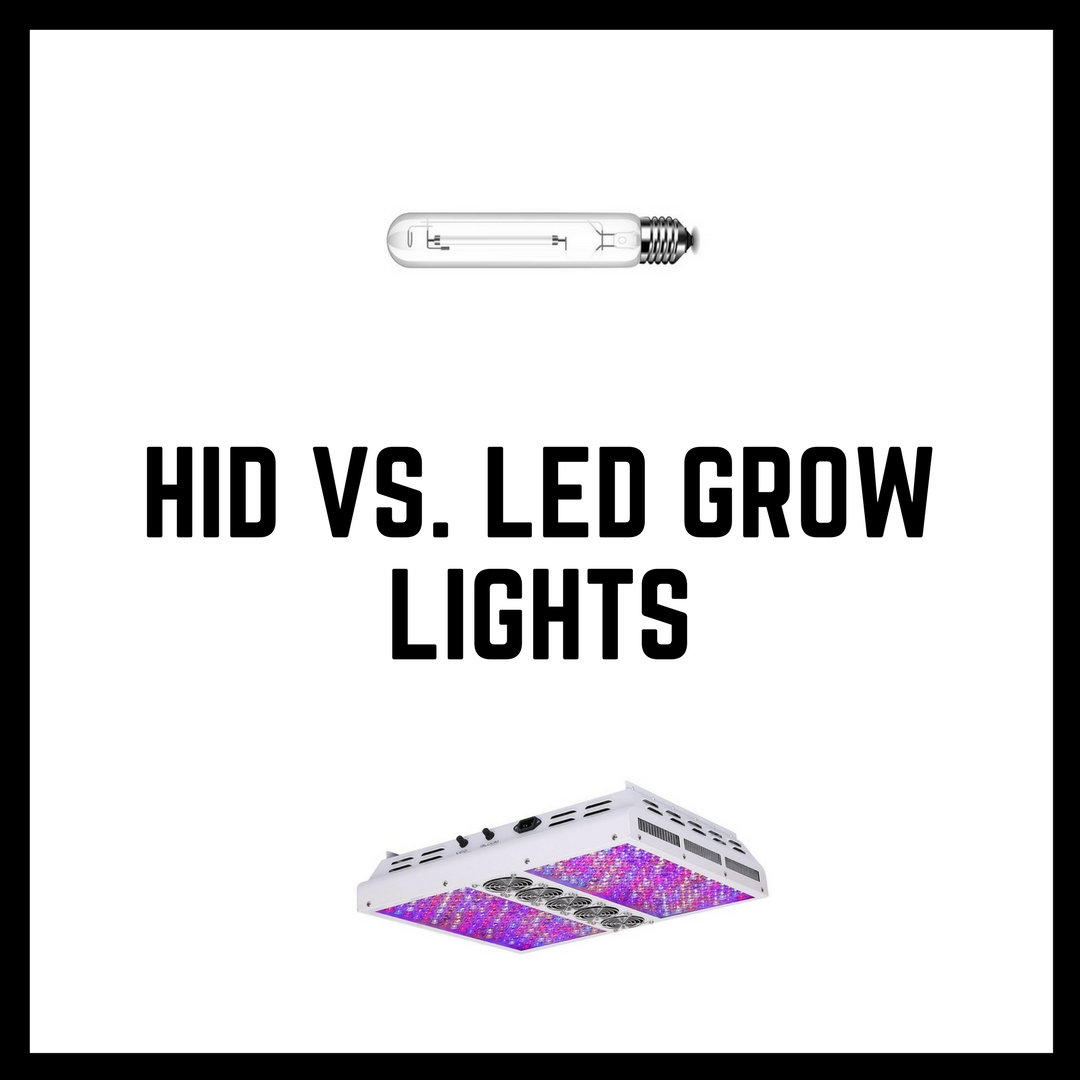HPS (HID) vs. LED Lights for Growing Marijuana