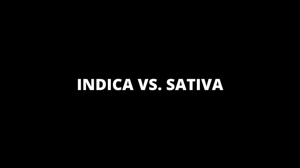 INDICA VS. SATIVA FOR STUDYING