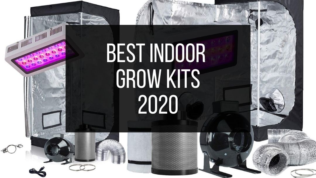 Best Indoor Cannabis Grow Kits 2020